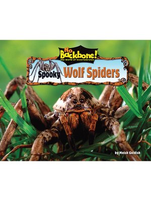 cover image of Spooky Wolf Spiders